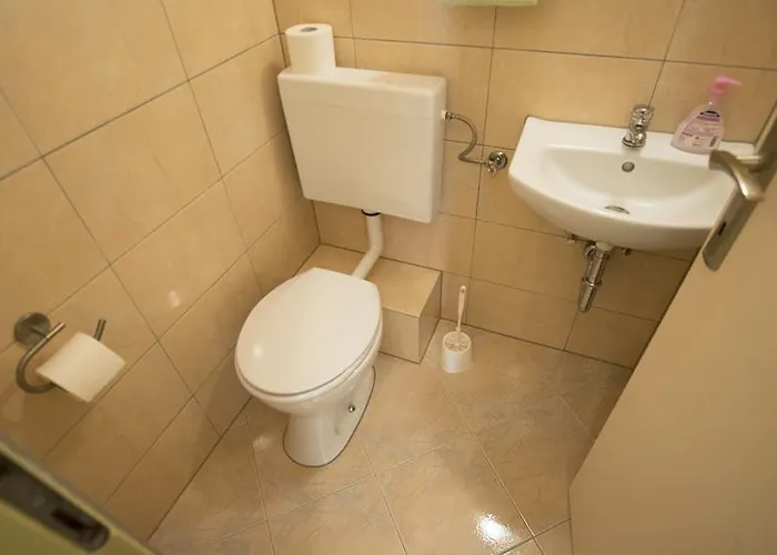 Duda 斯塔利格拉德-帕克利尼卡